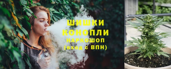 Альфа ПВП Аркадак