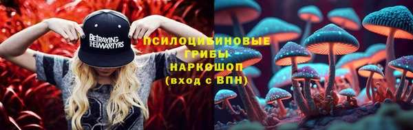 Альфа ПВП Аркадак