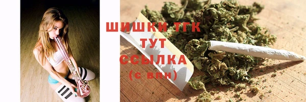 Альфа ПВП Аркадак