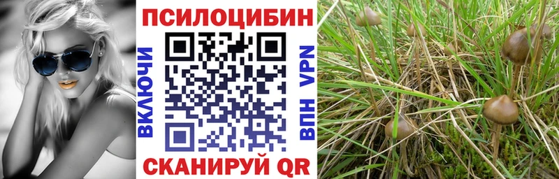 Купить закладки  Буинск  Галлюциногенные грибы MAGIC MUSHROOMS 